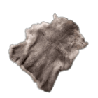 Bear Pelt
