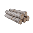 Birch Wood