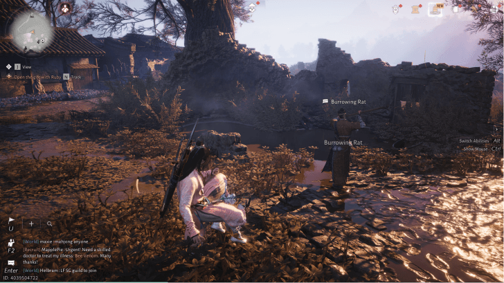 Burrowing Rat NPC portrait