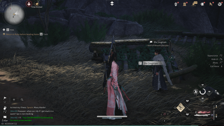 Shi Jingtian NPC-Porträt (Where Winds Meet)