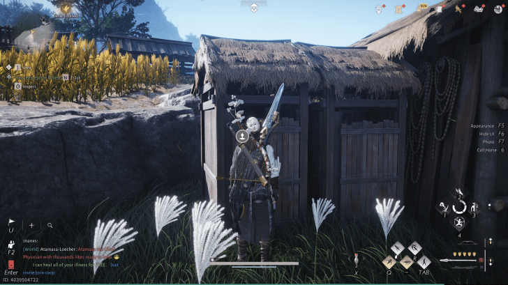 Wu Cezhi NPC-Porträt (Where Winds Meet)