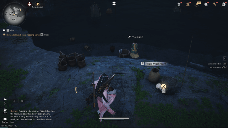 Yueniang NPC-Porträt (Where Winds Meet)